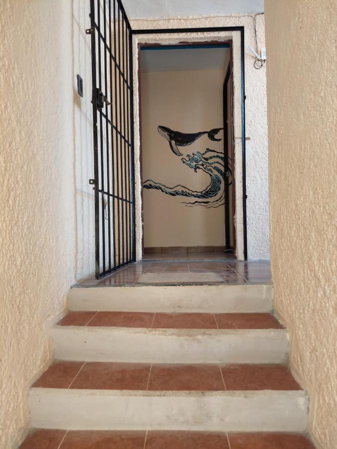 Venado 28 Cancun Exterior photo