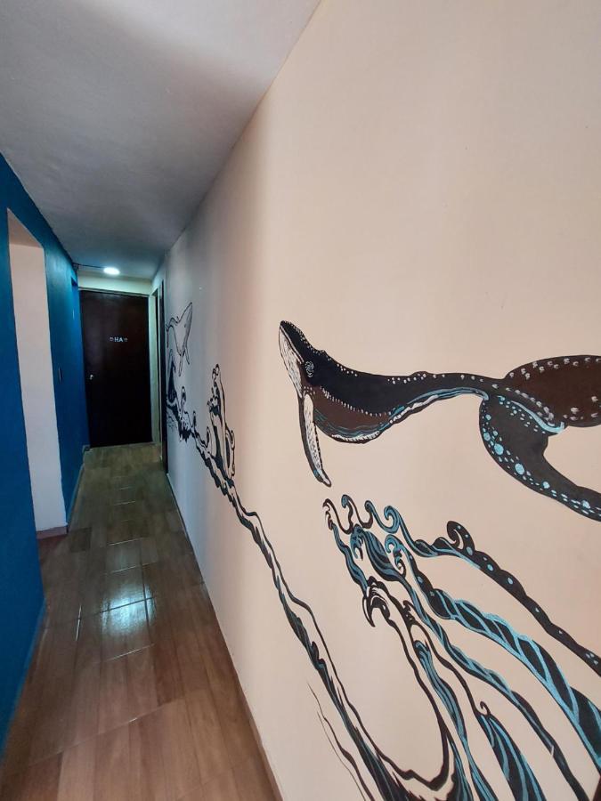 Venado 28 Cancun Exterior photo